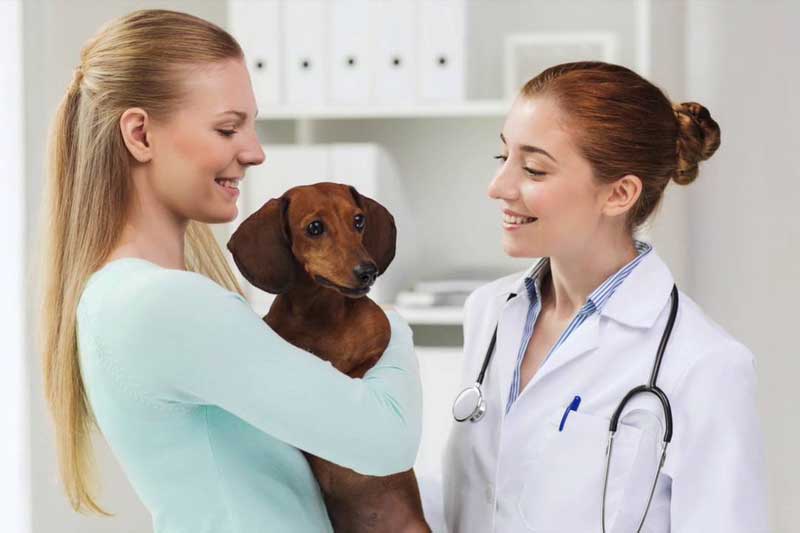 Вызов ветеринарного врача на дом в городе Дубна